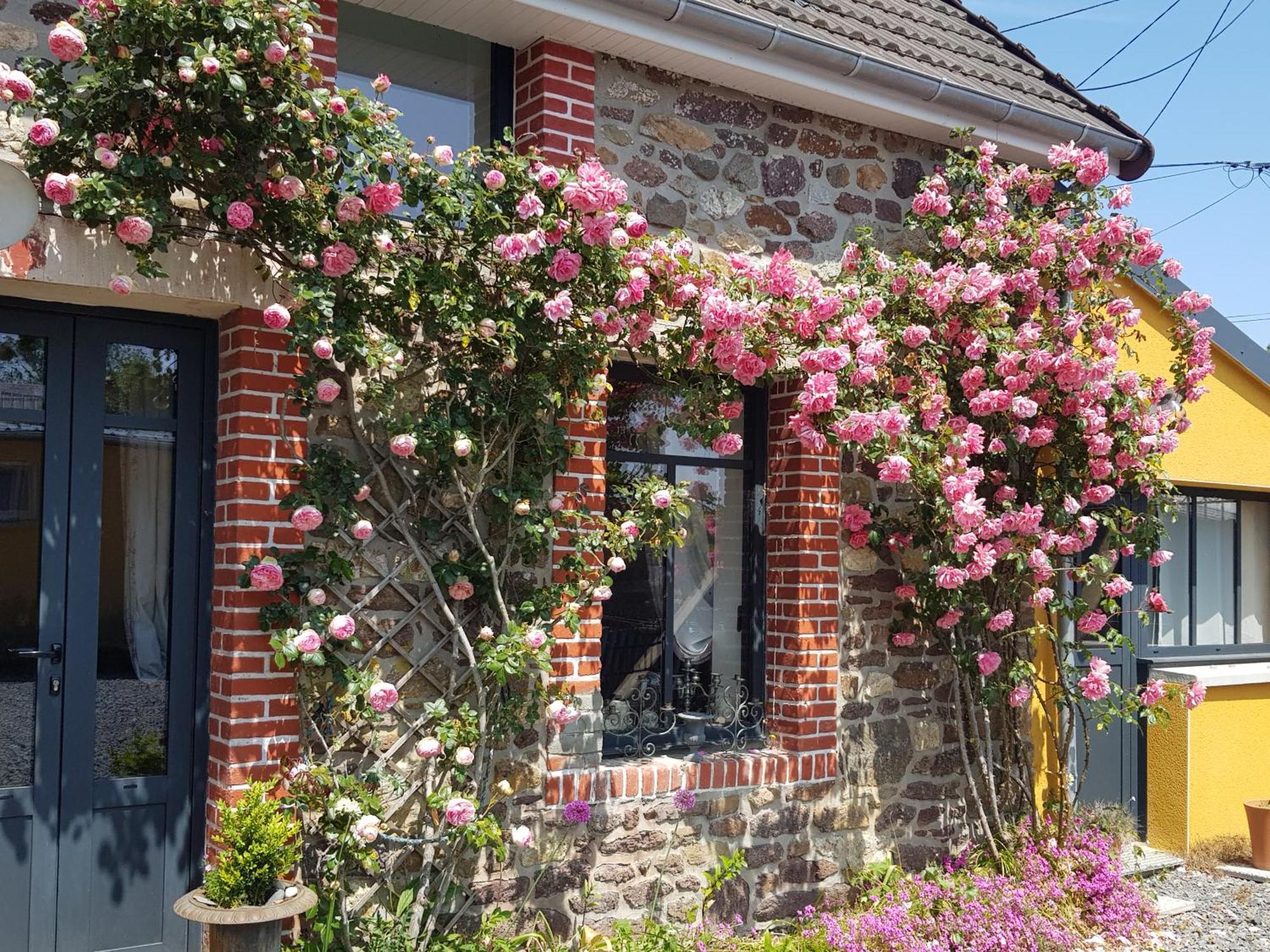 Bed and Breakfast Le Jardin Coudeville Exterior foto