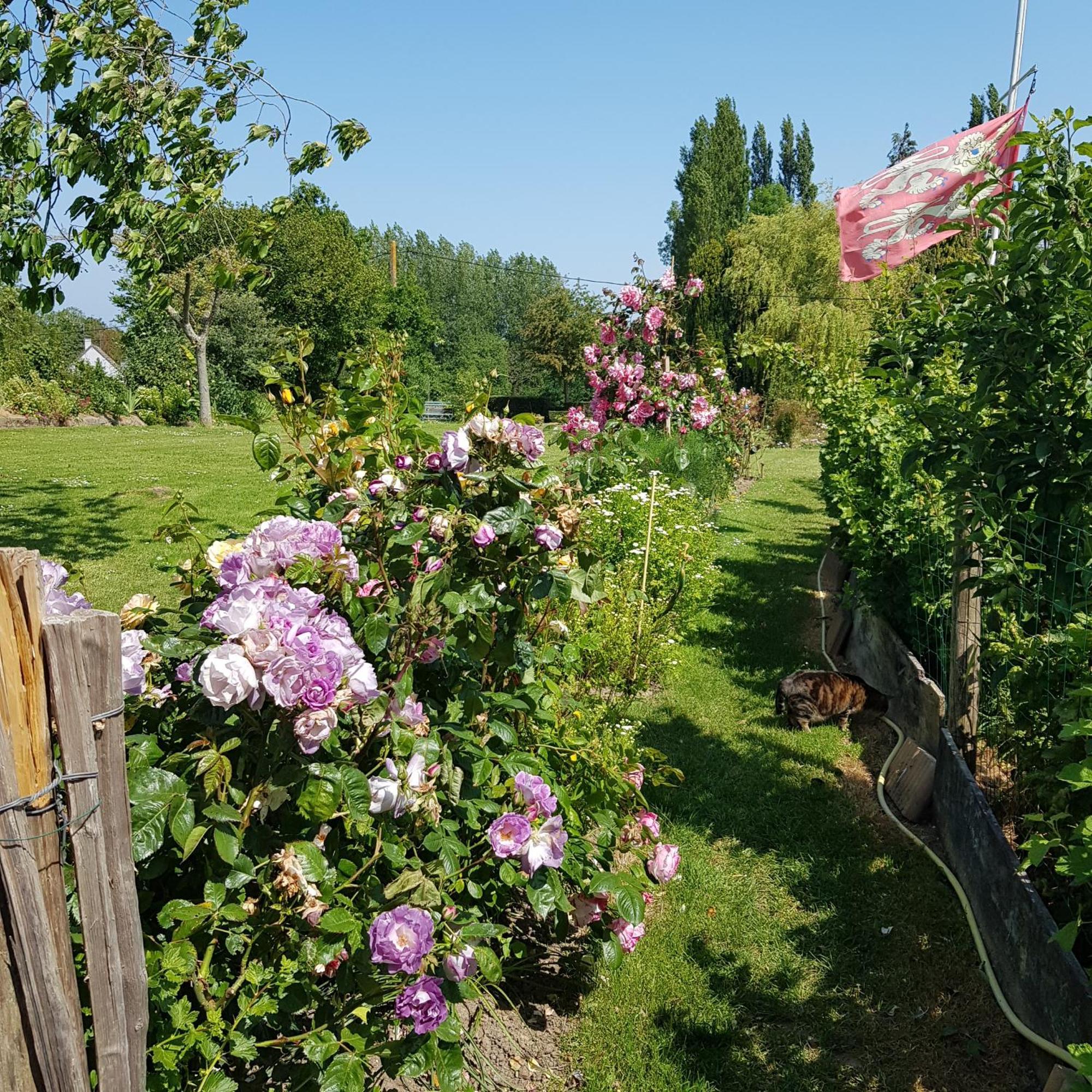 Bed and Breakfast Le Jardin Coudeville Exterior foto